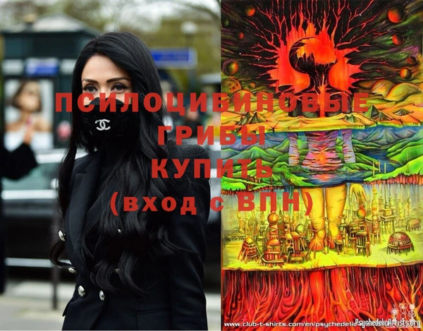 бошки Покачи