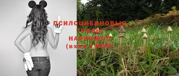гашик Абдулино