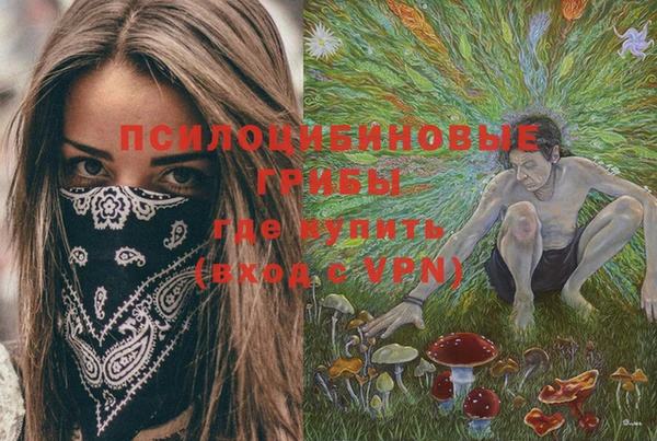 хмурый Покров