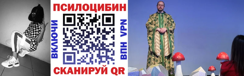 Галлюциногенные грибы MAGIC MUSHROOMS  где купить   MEGA рабочий сайт  Суздаль 