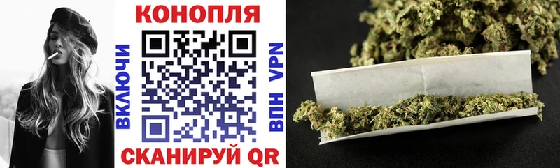 наркотики  блэк спрут ТОР  Бошки марихуана план  Суздаль 
